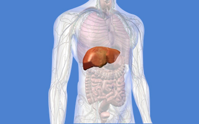 hepatology